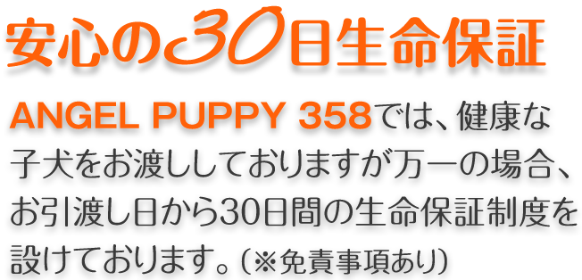 安心の30日生命保証
